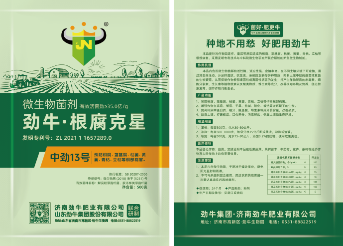 網(wǎng)站圖=中勁13號_3雙.png